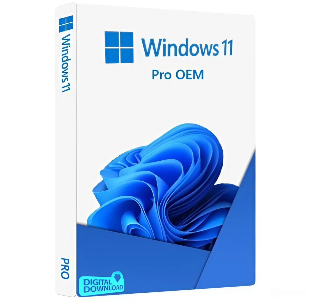 Windows 11 Professional